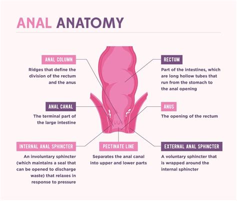 anal the first time